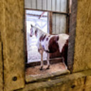 Meet your Posher, Melanie